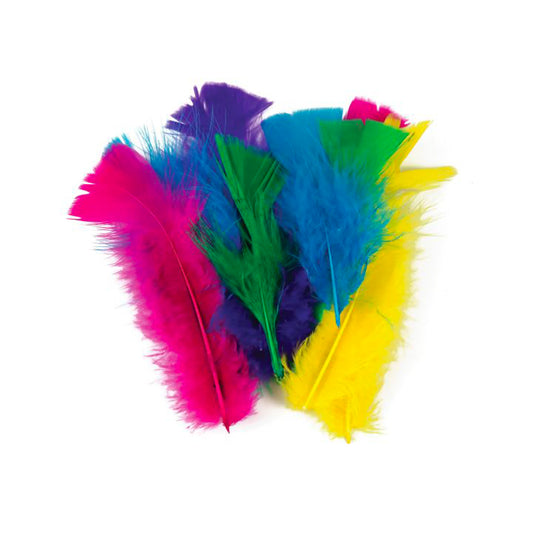 10 Small Deco Feathers - Assorted Colours