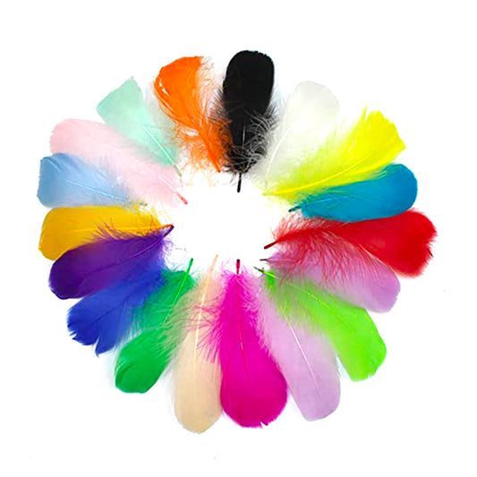 20 Medium Deco Feathers - Assorted Colours
