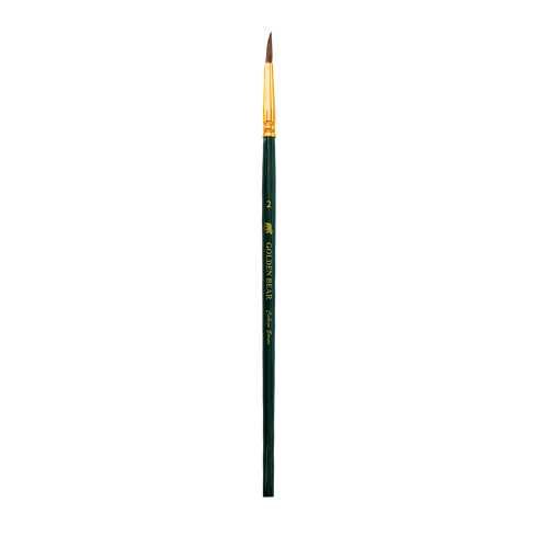 Camel Hair Golden Bear Brushes - Pack of 150