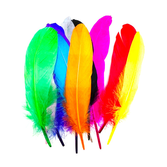 8 Goose Feathers - Assorted Colours